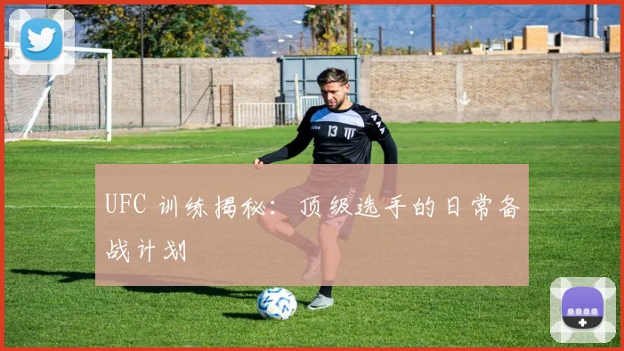 UFC 训练揭秘:顶级选手的日常备战计划